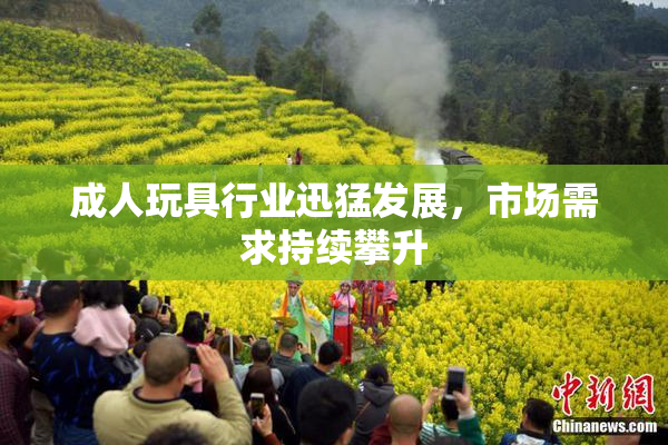 成人玩具行业迅猛发展，市场需求持续攀升