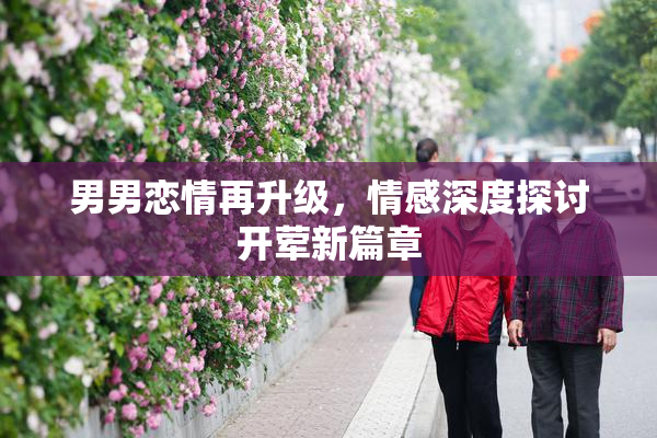 男男恋情再升级，情感深度探讨开荤新篇章
