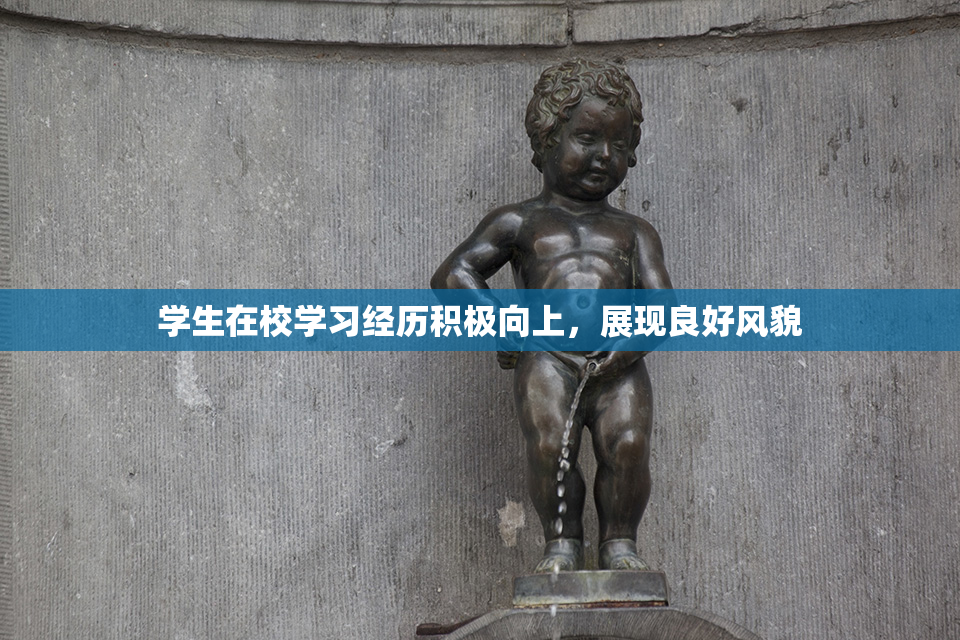 学生在校学习经历积极向上，展现良好风貌