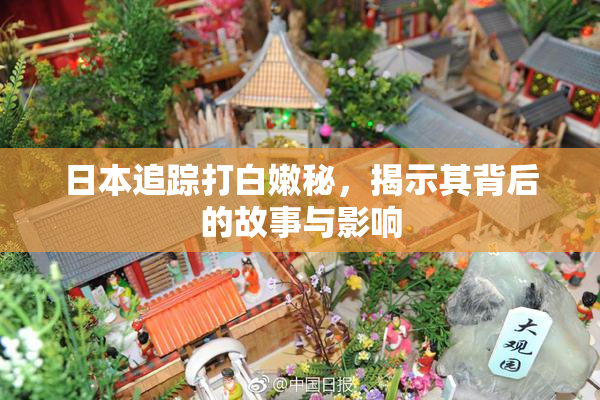 日本追踪打白嫩秘，揭示其背后的故事与影响