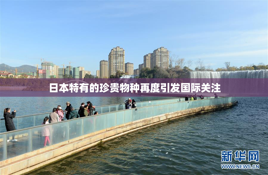 日本特有的珍贵物种再度引发国际关注