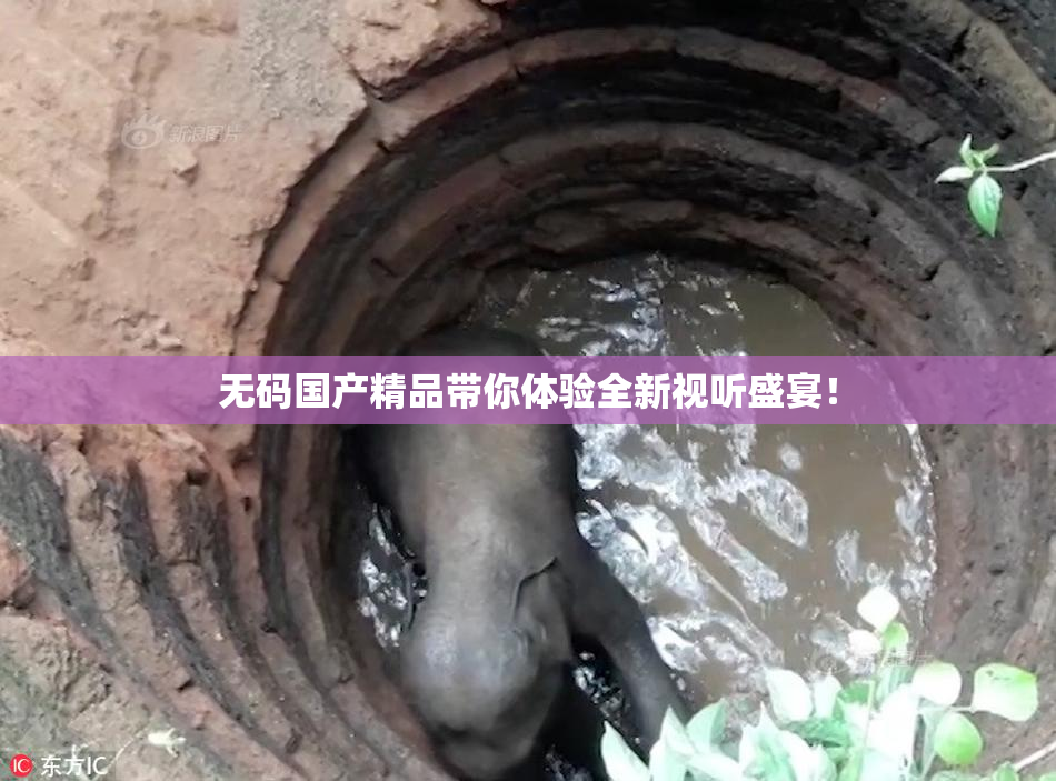 无码国产精品带你体验全新视听盛宴！