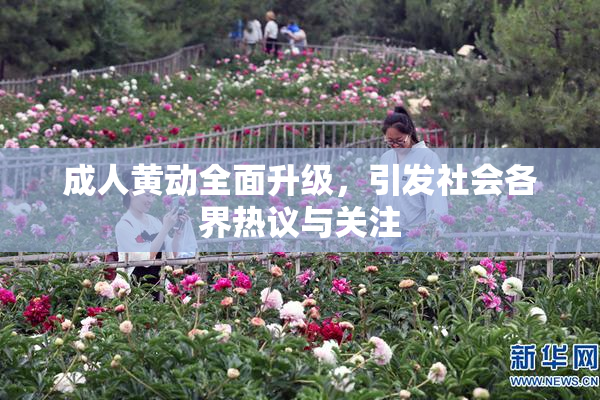成人黄动全面升级，引发社会各界热议与关注