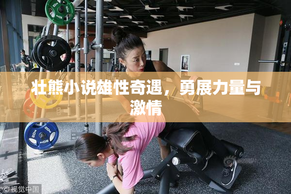 壮熊小说雄性奇遇，勇展力量与激情
