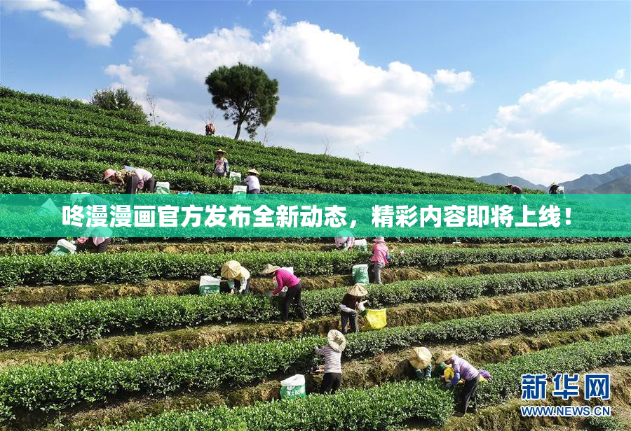 咚漫漫画官方发布全新动态，精彩内容即将上线！
