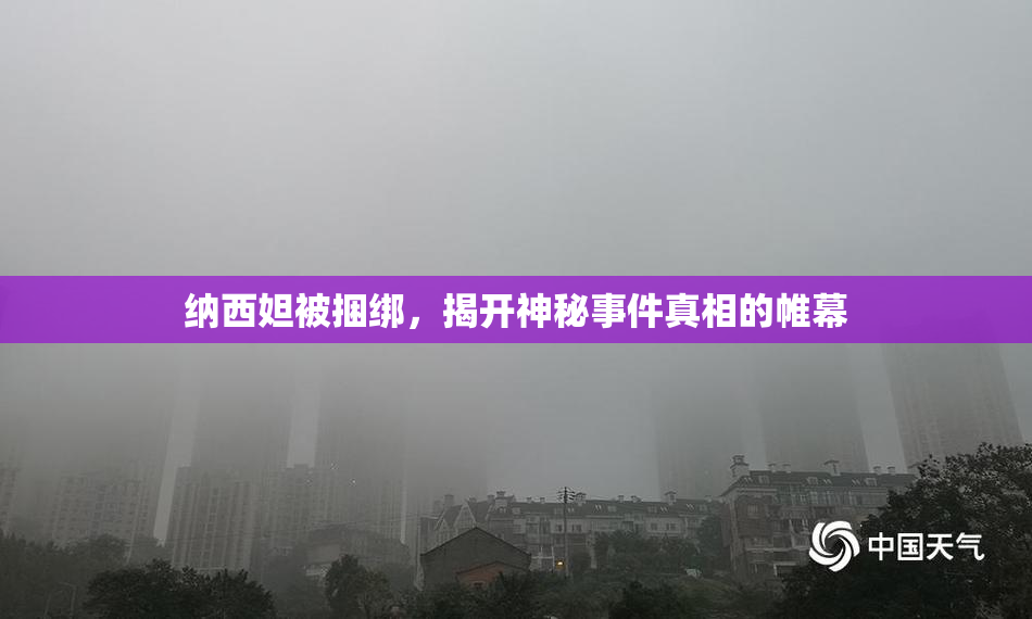 纳西妲被捆绑，揭开神秘事件真相的帷幕