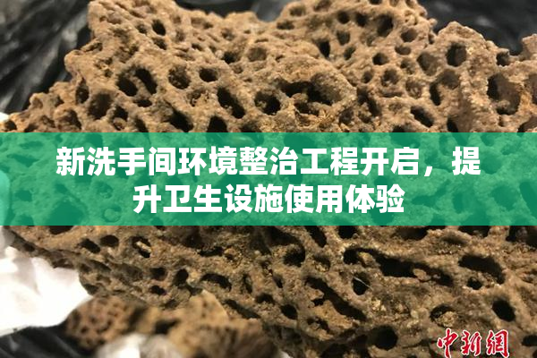 新洗手间环境整治工程开启，提升卫生设施使用体验