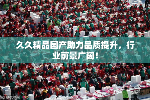 久久精品国产助力品质提升，行业前景广阔！