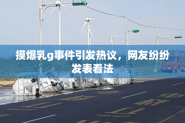 摸爆乳g事件引发热议，网友纷纷发表看法