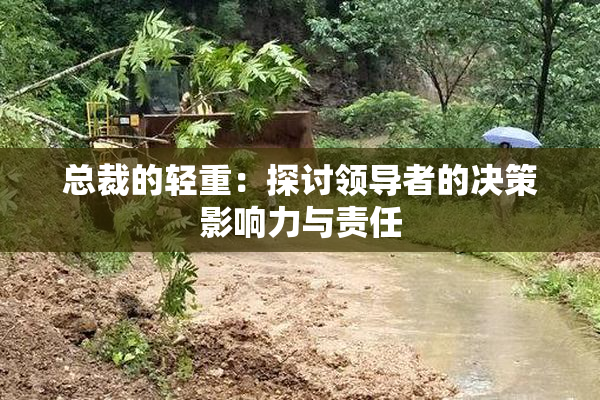 总裁的轻重：探讨领导者的决策影响力与责任