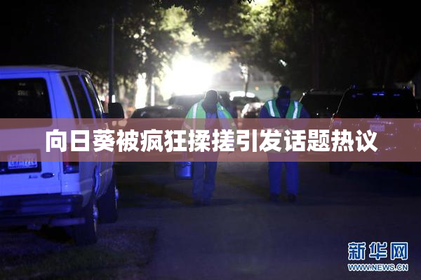 向日葵被疯狂揉搓引发话题热议