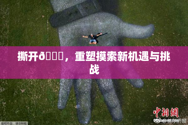 撕开👙，重塑摸索新机遇与挑战