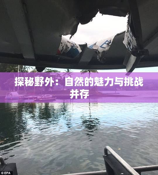 探秘野外：自然的魅力与挑战并存