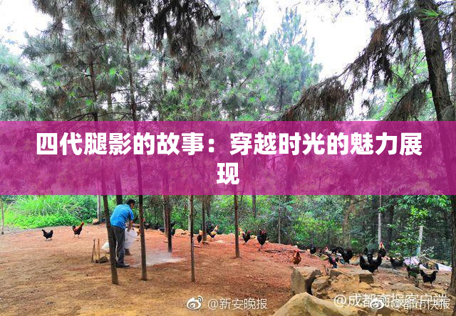 四代腿影的故事：穿越时光的魅力展现