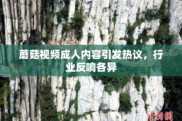 蘑菇视频成人内容引发热议，行业反响各异