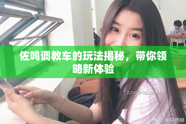 佐鸣调教车的玩法揭秘，带你领略新体验