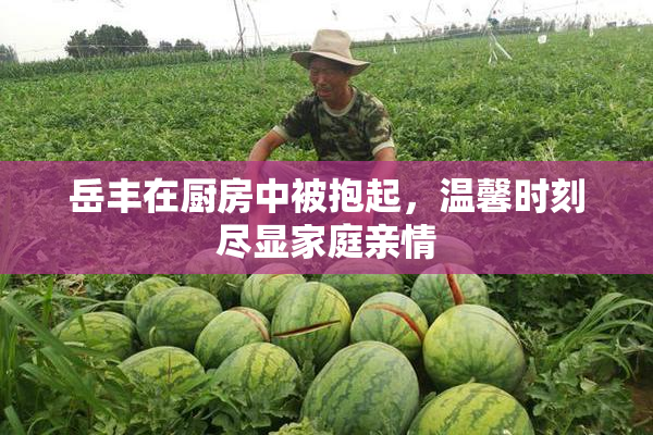岳丰在厨房中被抱起，温馨时刻尽显家庭亲情