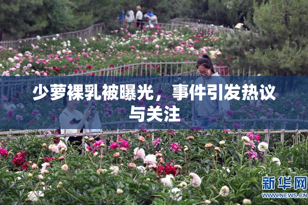 少萝裸乳被曝光，事件引发热议与关注