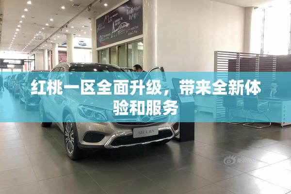红桃一区全面升级，带来全新体验和服务
