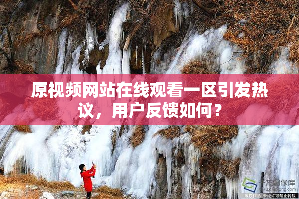原视频网站在线观看一区引发热议，用户反馈如何？