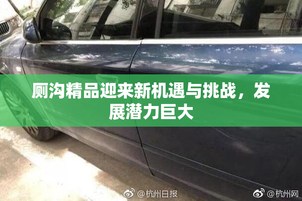 厕沟精品迎来新机遇与挑战，发展潜力巨大