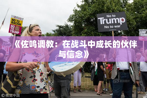 《佐鸣调教：在战斗中成长的伙伴与信念》