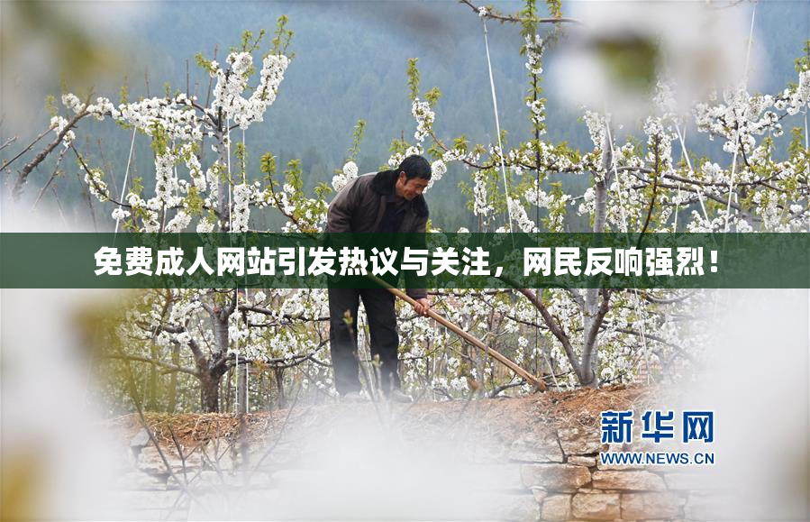 免费成人网站引发热议与关注，网民反响强烈！