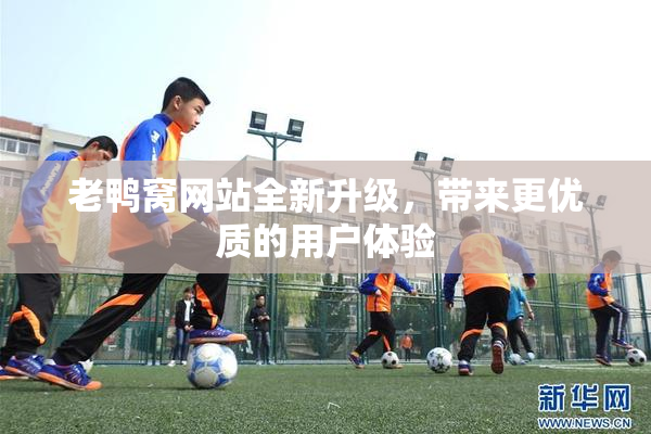 老鸭窝网站全新升级，带来更优质的用户体验