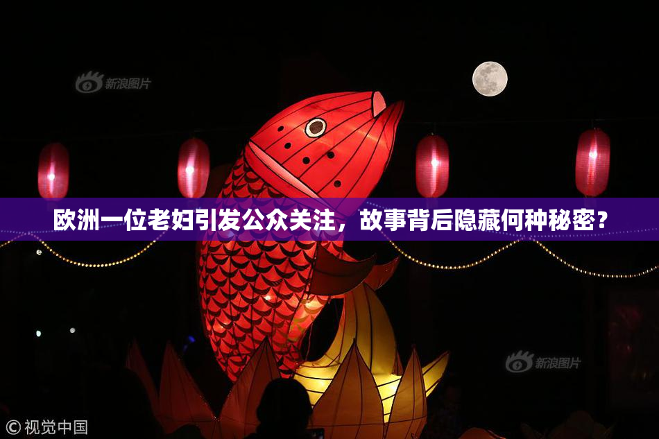 欧洲一位老妇引发公众关注，故事背后隐藏何种秘密？