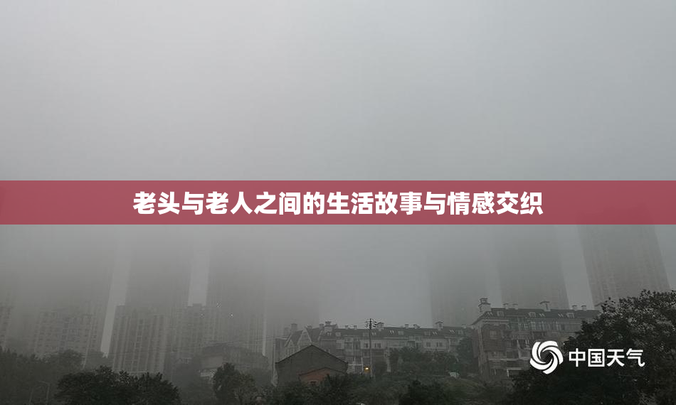 老头与老人之间的生活故事与情感交织