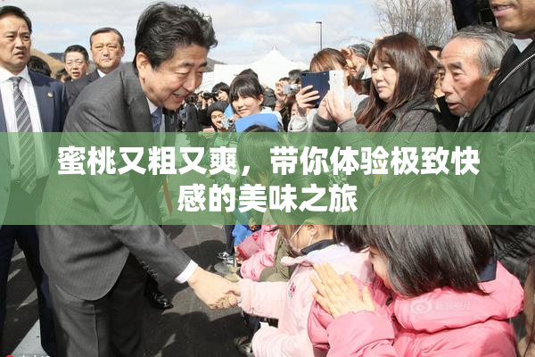 蜜桃又粗又爽，带你体验极致快感的美味之旅