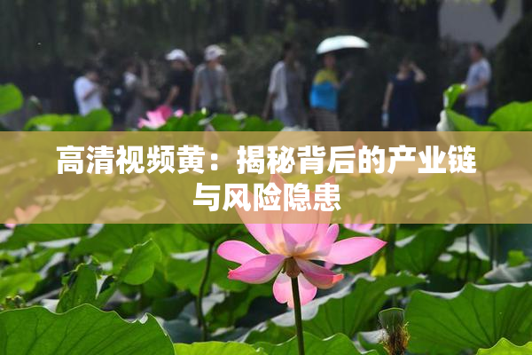 高清视频黄：揭秘背后的产业链与风险隐患