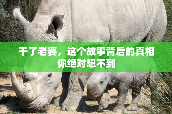 干了老婆，这个故事背后的真相你绝对想不到