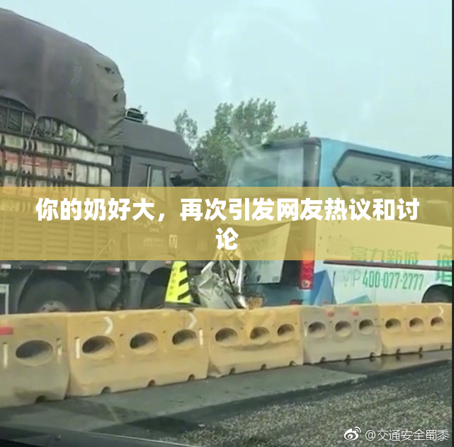 你的奶好大，再次引发网友热议和讨论