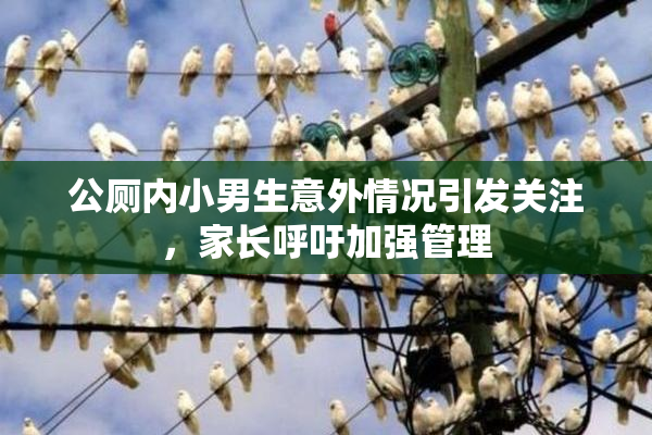 公厕内小男生意外情况引发关注，家长呼吁加强管理