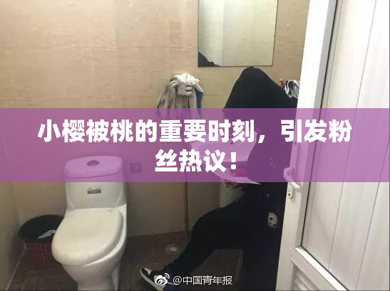 小樱被桃的重要时刻，引发粉丝热议！