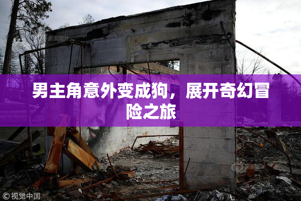 男主角意外变成狗，展开奇幻冒险之旅