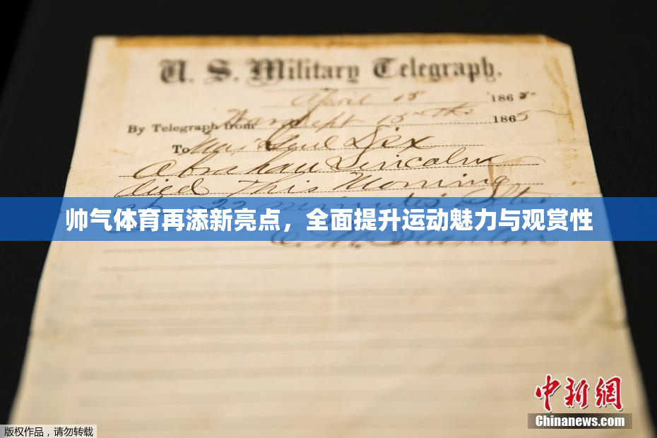 帅气体育再添新亮点，全面提升运动魅力与观赏性