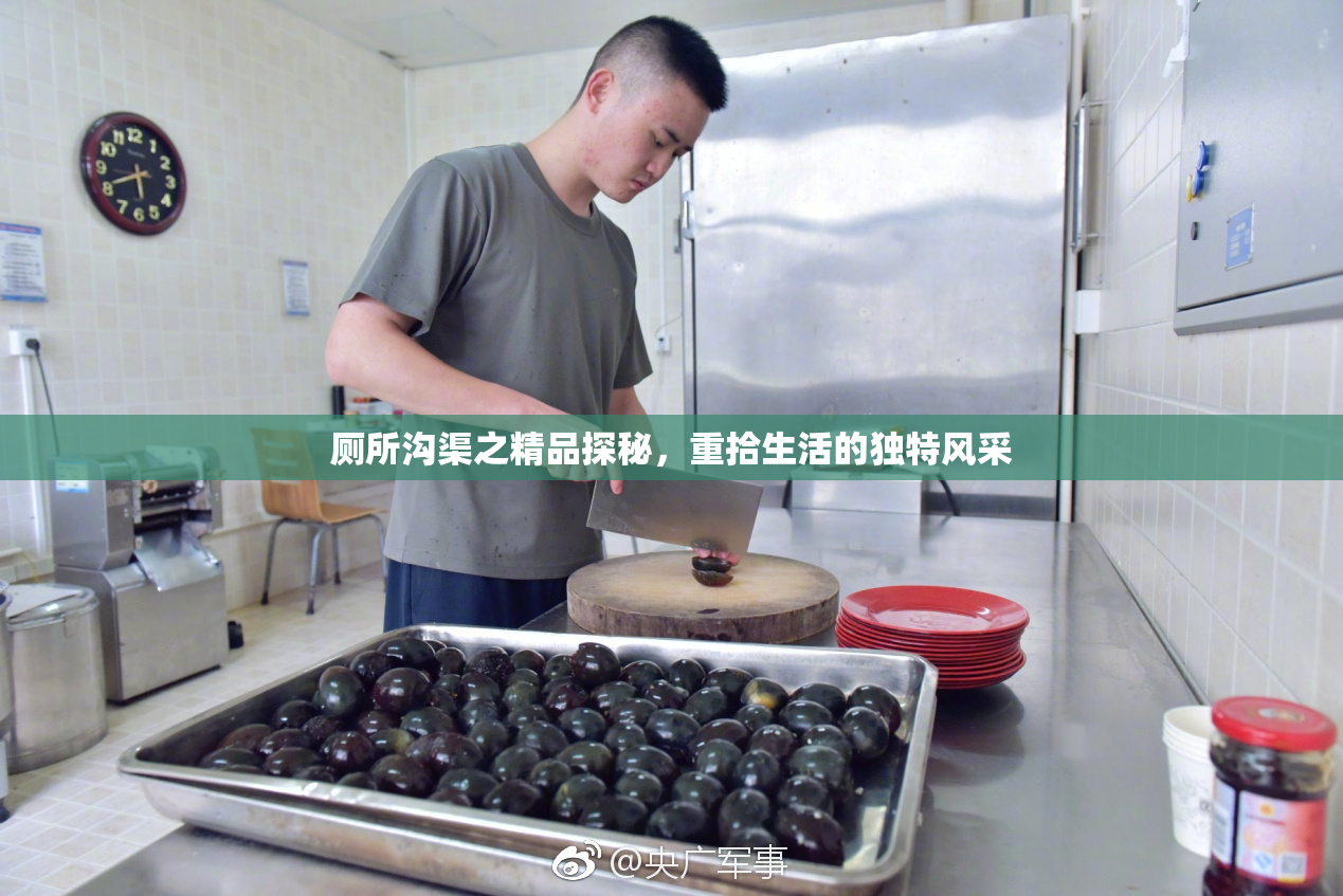 厕所沟渠之精品探秘，重拾生活的独特风采