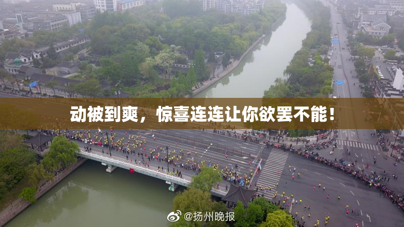 动被到爽，惊喜连连让你欲罢不能！