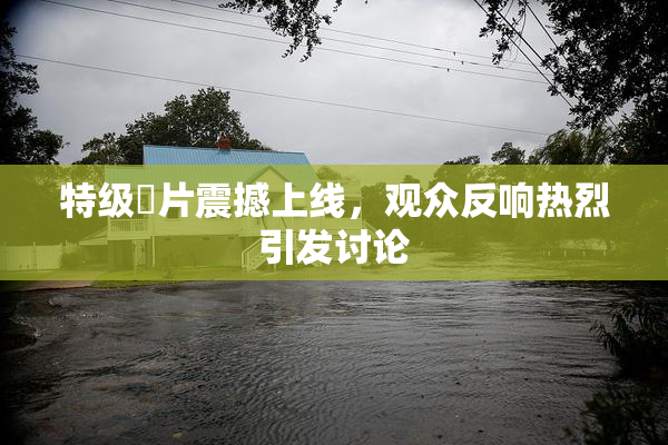 特级婬片震撼上线，观众反响热烈引发讨论