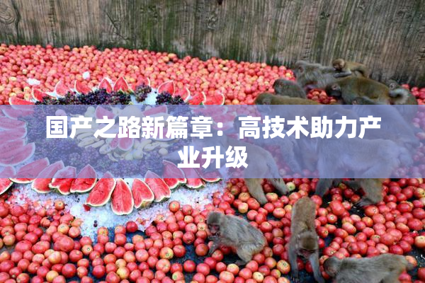 国产之路新篇章：高技术助力产业升级