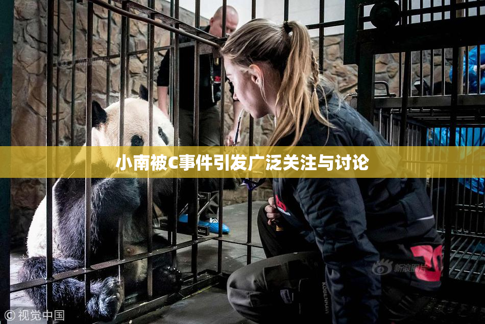 小南被C事件引发广泛关注与讨论