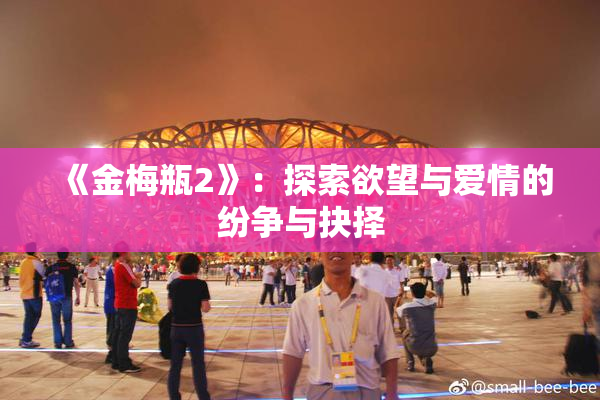 《金梅瓶2》：探索欲望与爱情的纷争与抉择