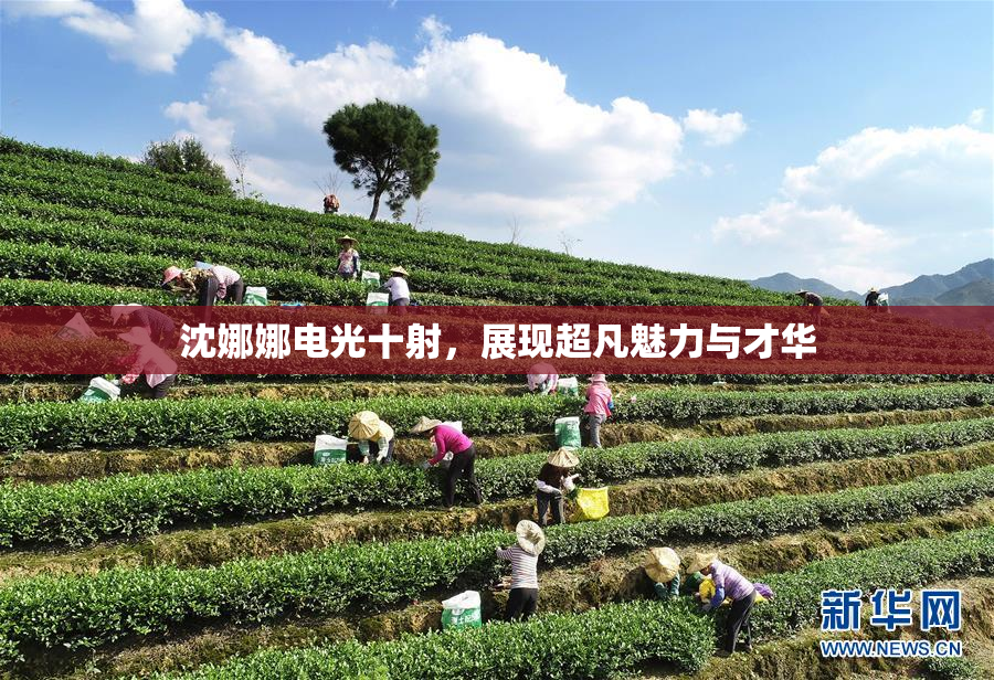 沈娜娜电光十射，展现超凡魅力与才华