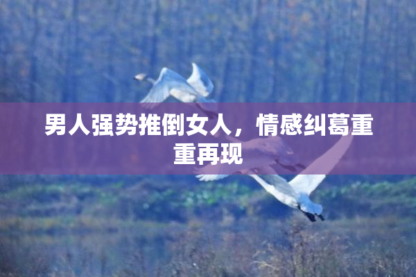 男人强势推倒女人，情感纠葛重重再现