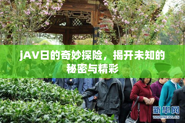 jA∨日的奇妙探险，揭开未知的秘密与精彩