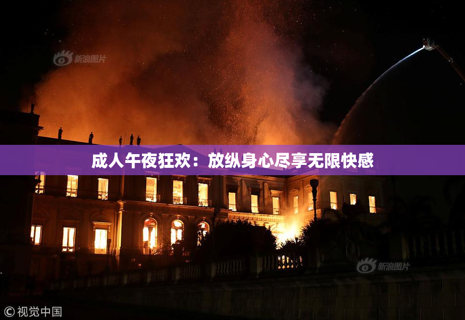 成人午夜狂欢：放纵身心尽享无限快感