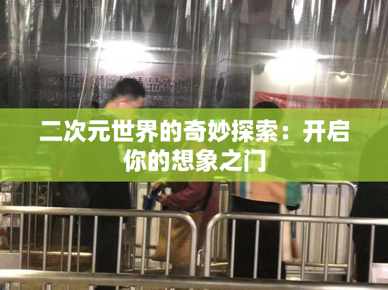 二次元世界的奇妙探索：开启你的想象之门