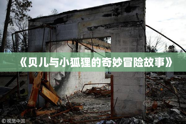 《贝儿与小狐狸的奇妙冒险故事》